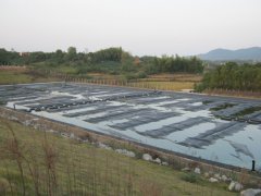 垃圾填埋
